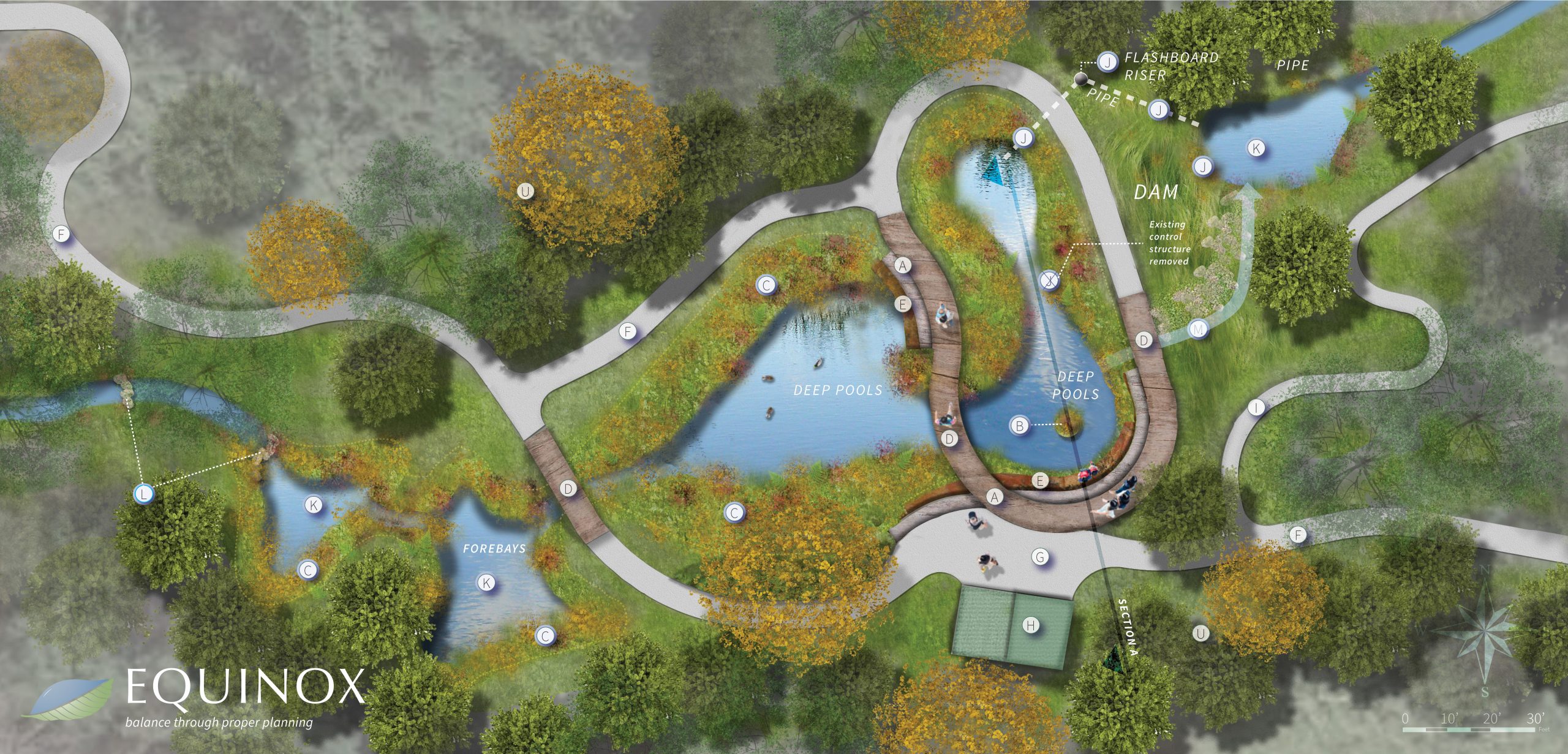 Wetland Renderings Landscape Architecture Plan Landscape Architecture